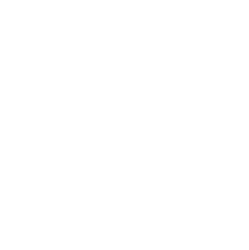 knochen-icon-2