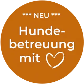 Besuche meine Hundebetreuung-Unterseite